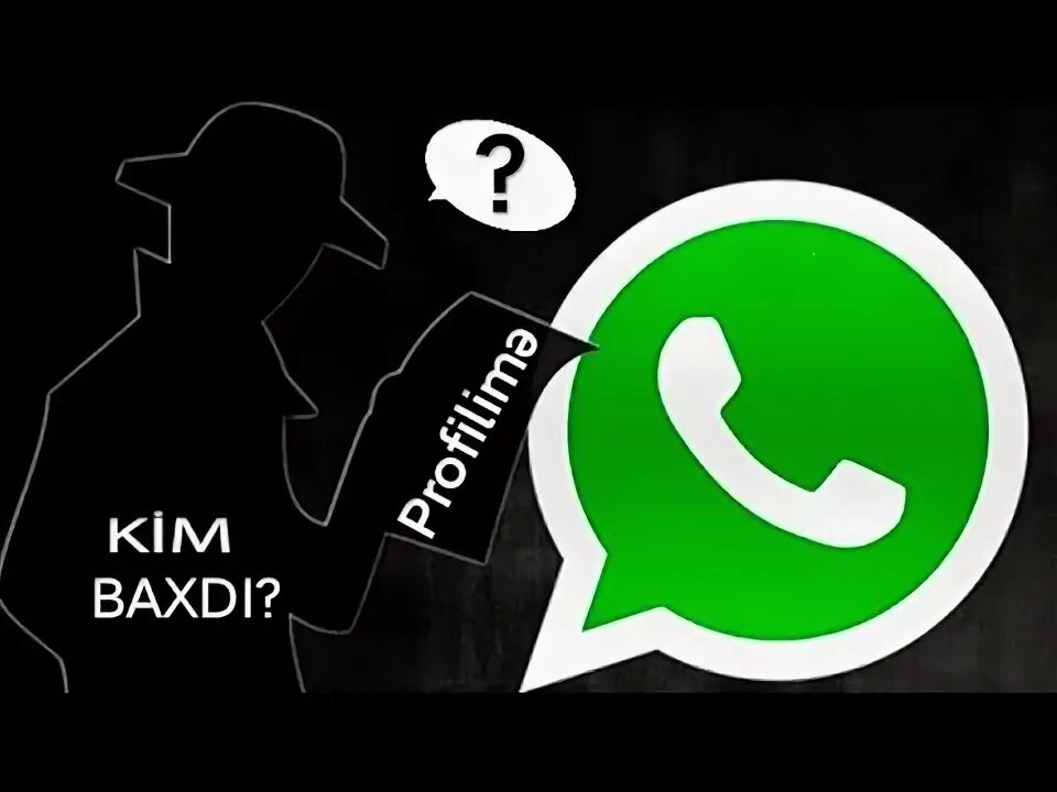 Whatsapp plus yukle 2022. Azeri vacap plus. Whatsapp plus azeri. Ватсап плюс на айфон. Пилус ватсап пилус.