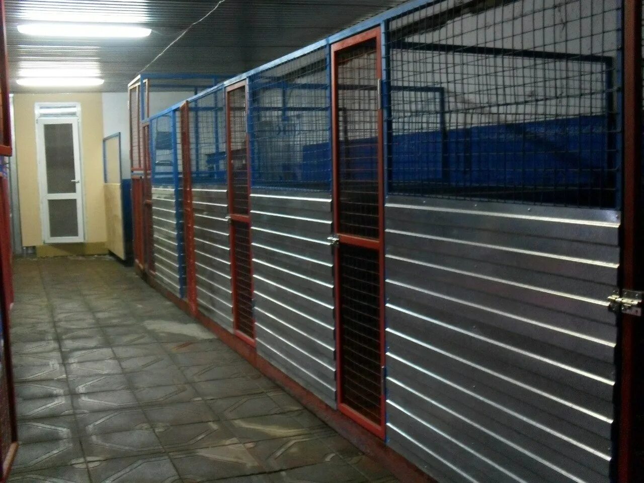 Зоогостиница для собак. Зоогостиница красноярск. Гостиница для собак. Зоогостиница для животных. Зоогостиница petwish.