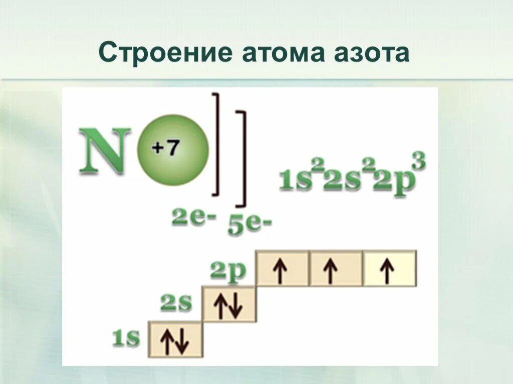 Азот сколько уровней