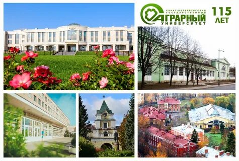 Санкт петербургский государственный аграрный университет сайт