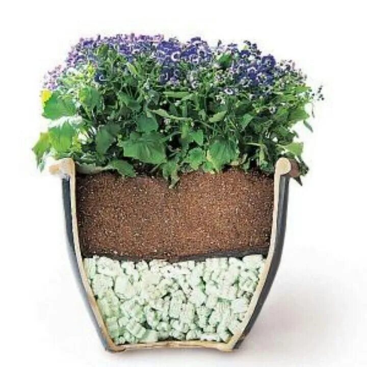 Pin on Home and Garden Garden containers, Planting flowers, Lawn and garden