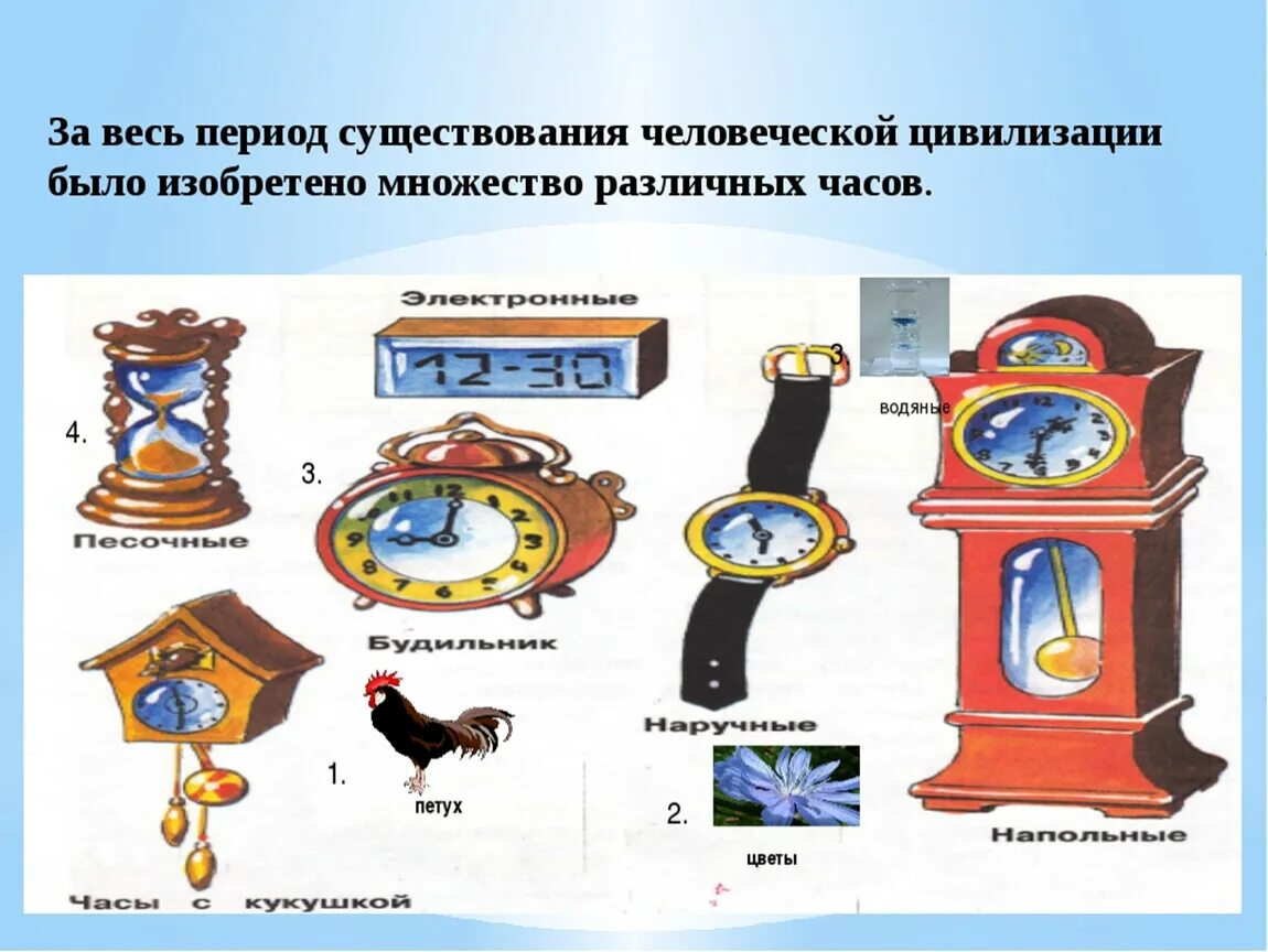 Виды часов для детей. Изображение разных видов часов. Виды часочасов для детей. Часы для презентации.