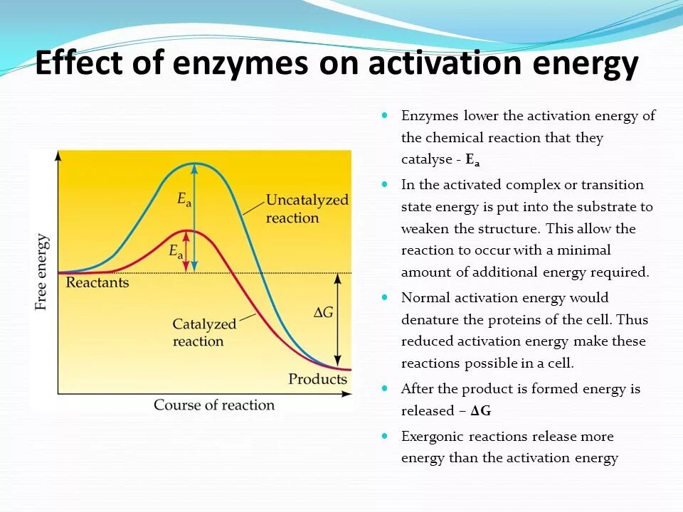 Activation Energy of the Reaction. Activation Energy диода. Activation Energy Definition. Effect Enzymatic Activator. Effect o