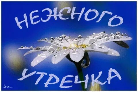 Лена леночка ленусь