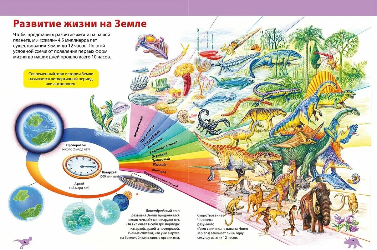 Эры и периоды в развитии жизни. Развитие жизни на земле. Эволюция жизни на земле. Развитие жизни на змел. Развитие жизни нащемле.