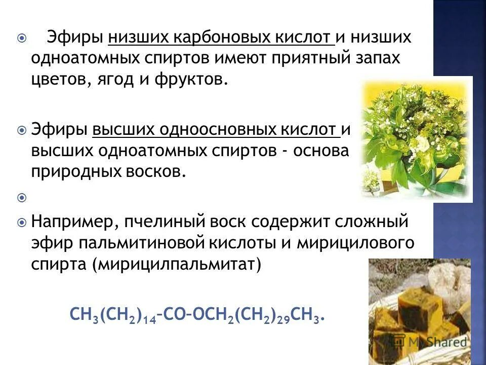 формула воска липиды. сложные эфиры одноатомных спиртов. сложные эфиры физико-химические свойства. сложные эфиры одноатомных спиртов. строение одноатомных спиртов.