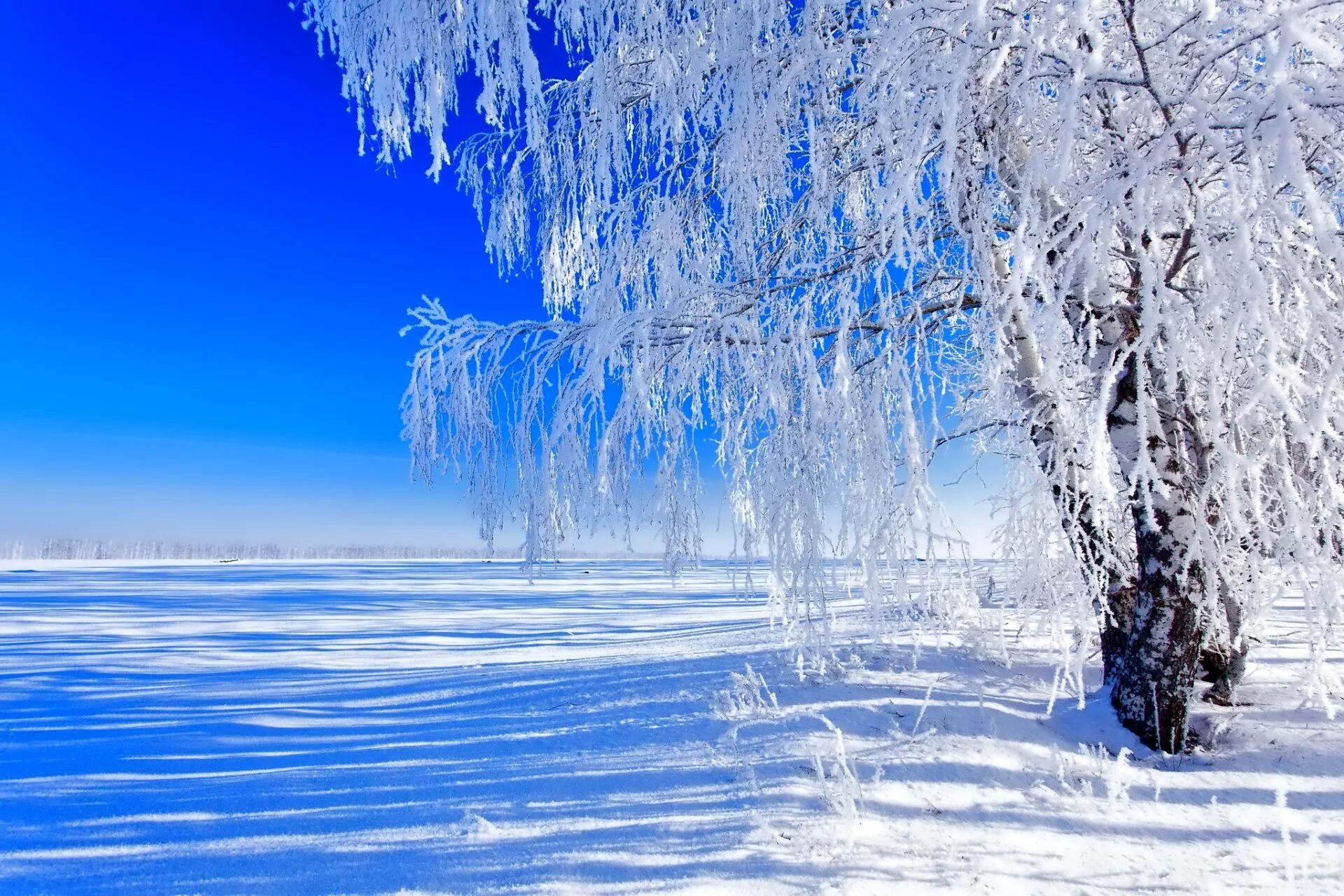 Зимний воздух чистый морозный. Зимний пейзаж. Зимняя природа. Красивая зима. Зимние картинки на рабочий стол.