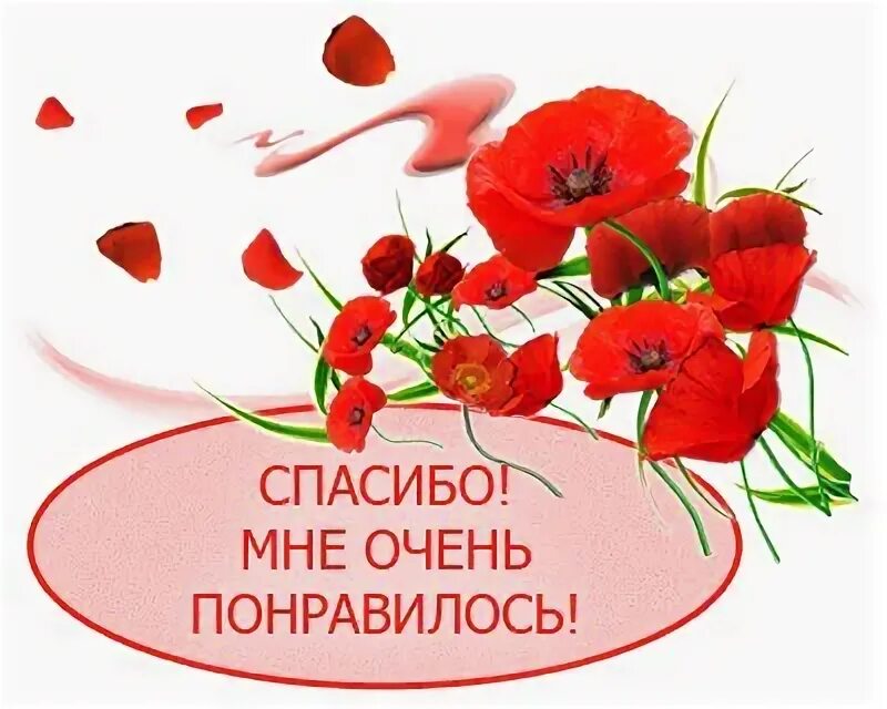 Благодарю за информацию. Благодарю за прекрасные стихи. спасибо за прекрасные стихи. спасибо очень понравилось. красивые стихи спасибо.
