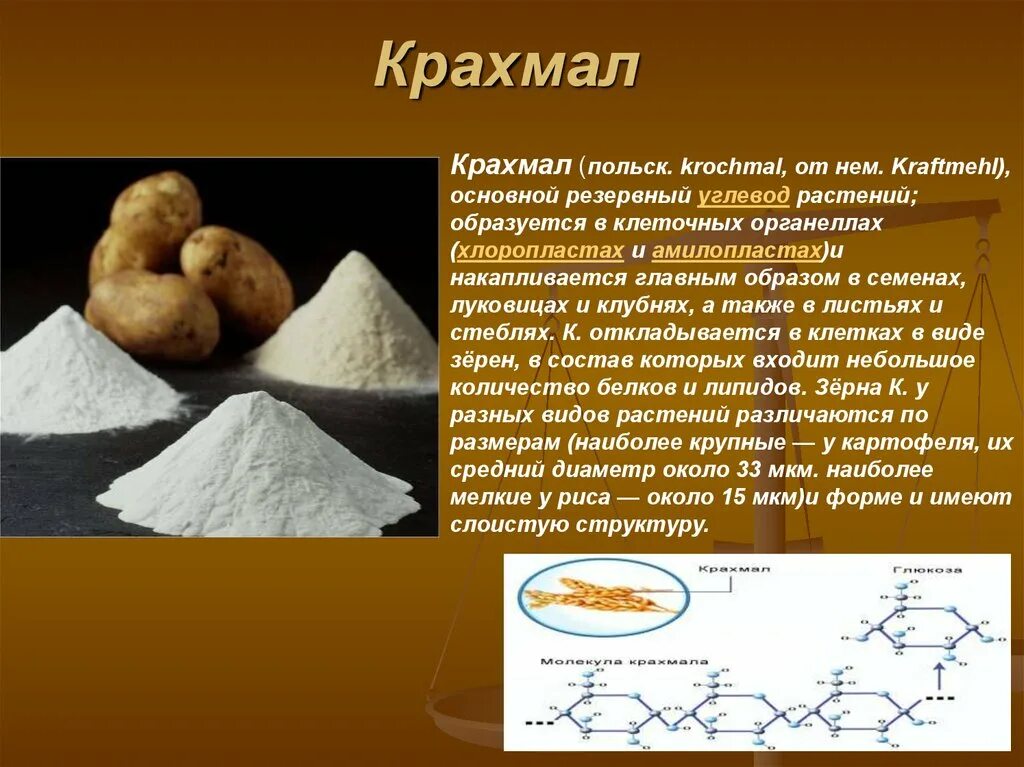 Запасным углеводом человека является. Крахмал. Крахмал в клетках растений накапливается. Крахмал в растениях. Запасной крахмал накапливается в:.