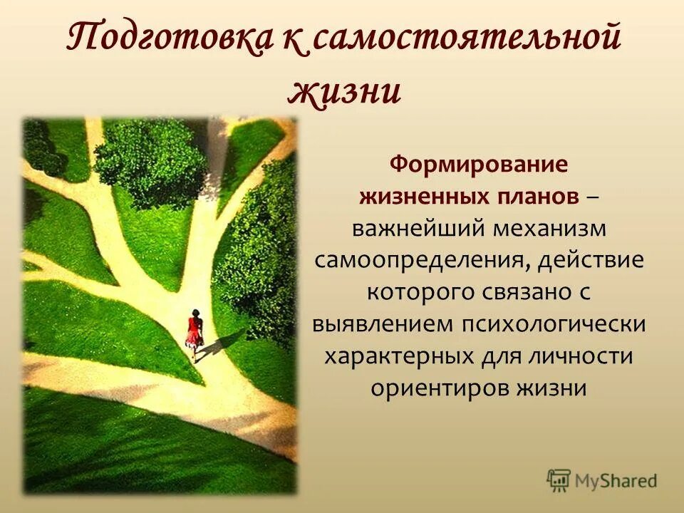 Витальный план. Принципы построения жизненного плана. Формирование жизненных планов. Жизненные планы личности. Становление мировоззрения в ранней юности.