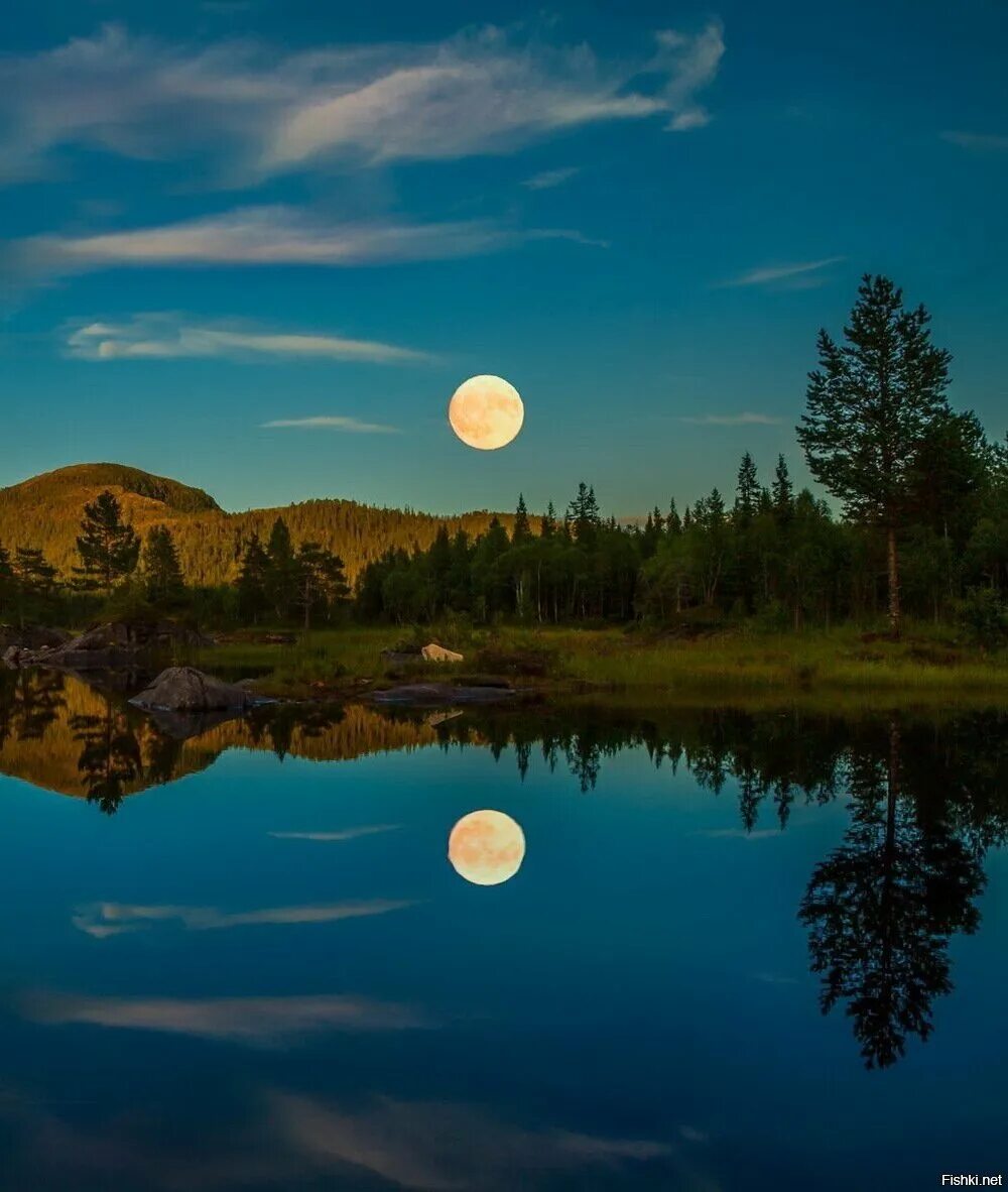 Луна вдали. Природа Луны. Лунный пейзаж. Луна над озером. Озеро в лунном свете.