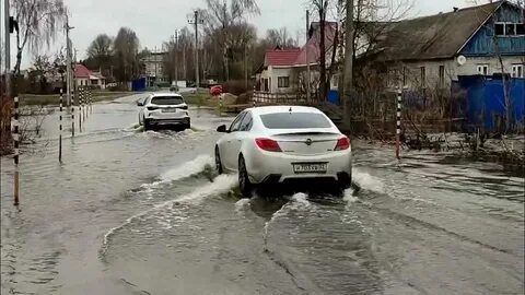 Паводок курган 2024 область 45