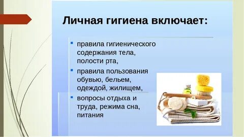 Что такое гигиена кратко