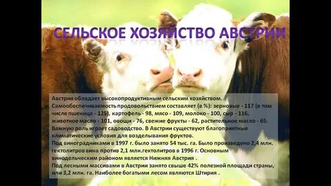 Отрасли сельского хозяйства венгрии