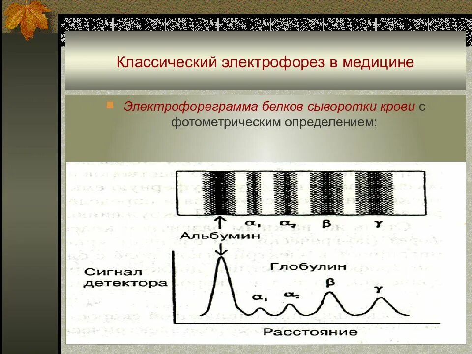 Соотношение белковых фракций методом электрофореза. Электрофорез белковых фракций. белковые фракции методом электрофореза расшифровка.