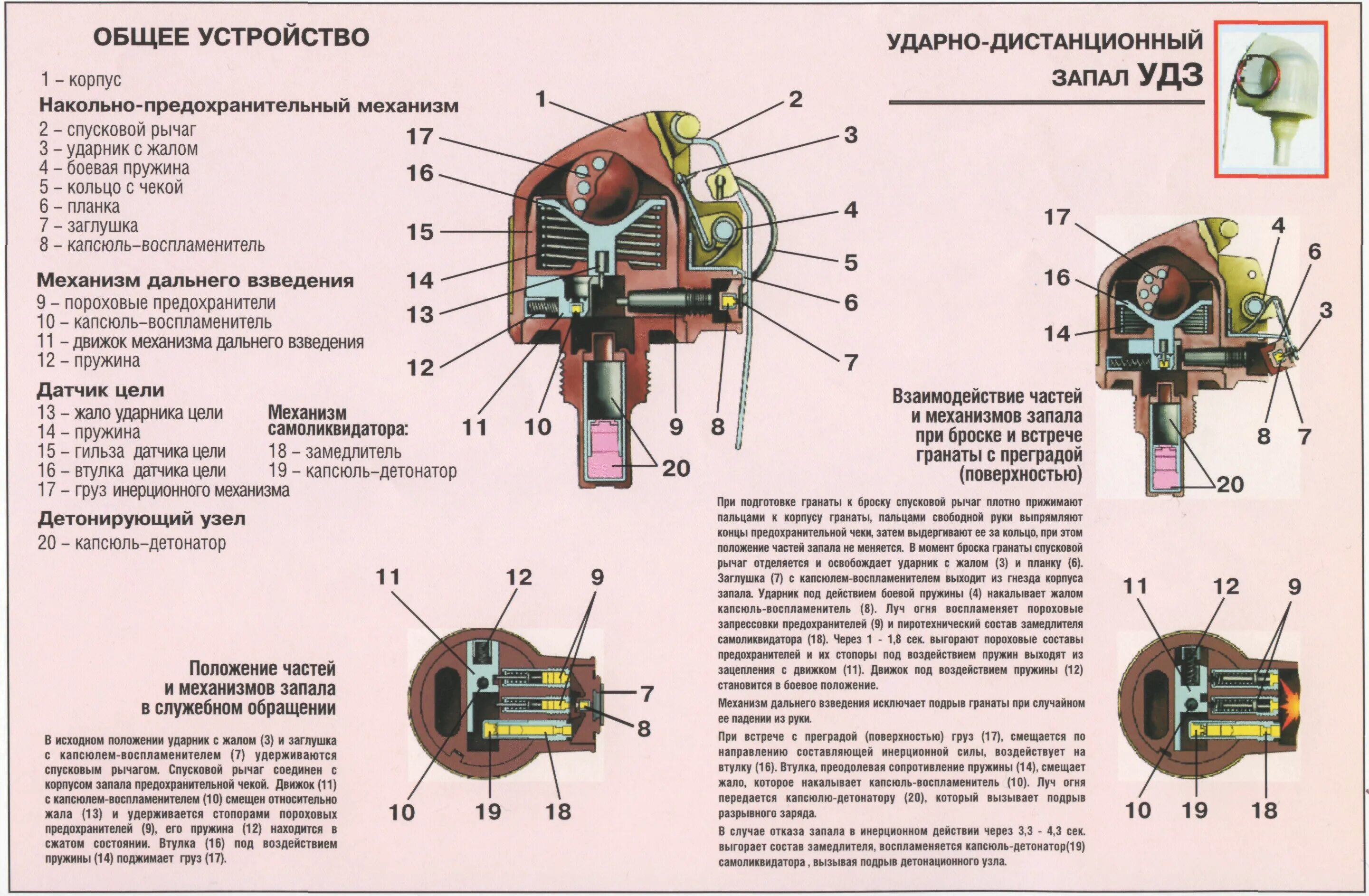 Запал ргн. Ручные гранаты рго. Части ручной противопехотной гранаты рго. Ручная граната оборонительная. Запал рго.