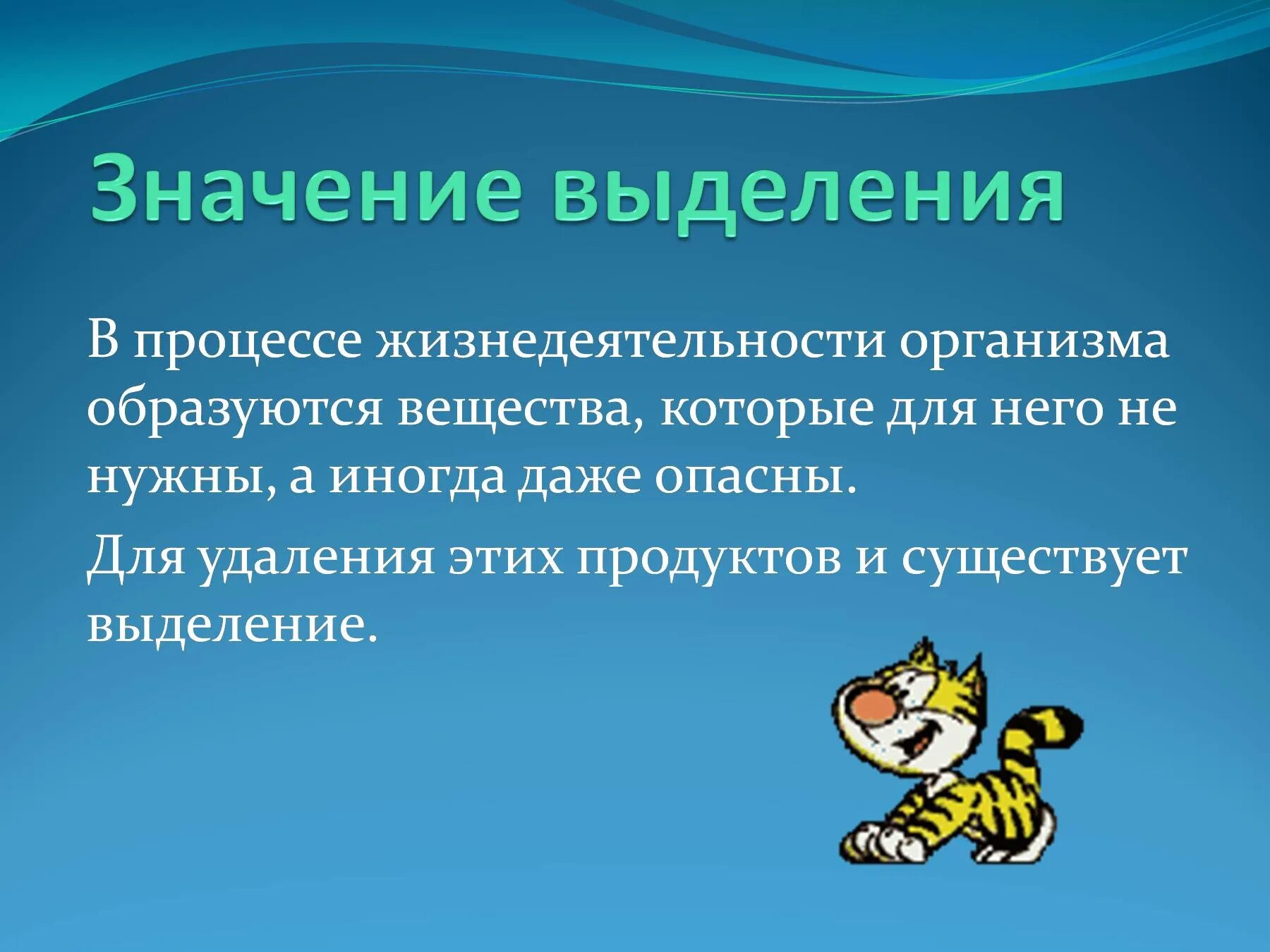 Как происходит удаление вредных продуктов жизнедеятельности