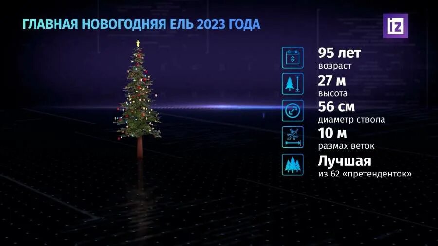 тульская область щекино площадь ленина. щекино елка 2023. елка первомайский щекино. посёлок первомайский тульская область щекинский елка на площади. щекино елка 2023.