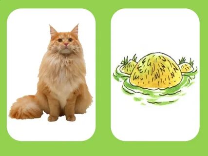 Звуки кочки
