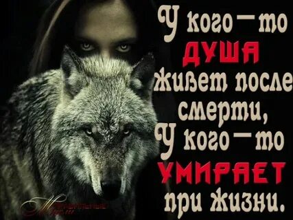 Вер ни