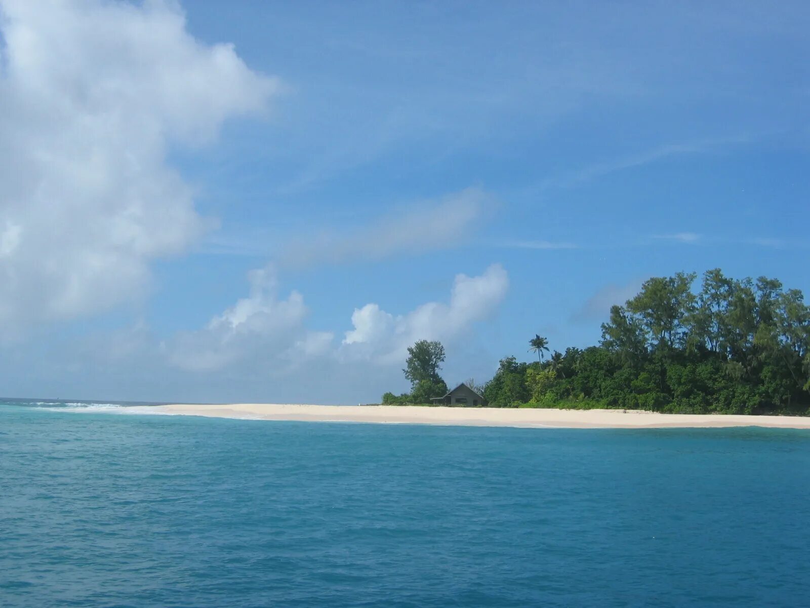 Остров кузен. Остров кузен. Cousin island. Индийский океан сейшельские острова. Остров муху.