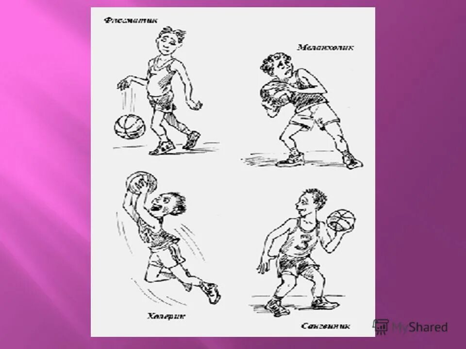 типы темперамента.