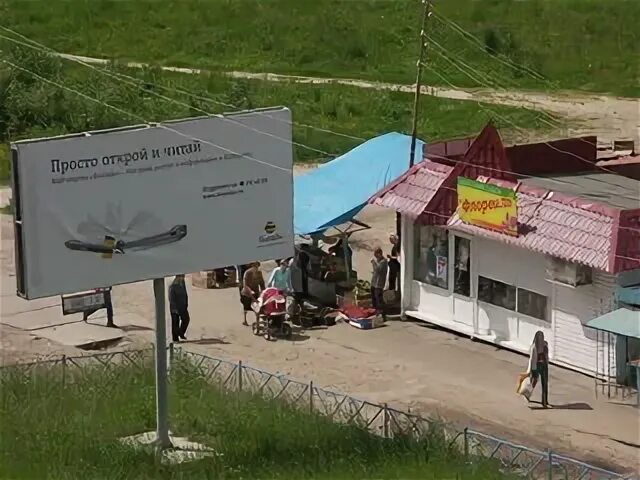 Поле чудес гусь. Поле чудес гусь