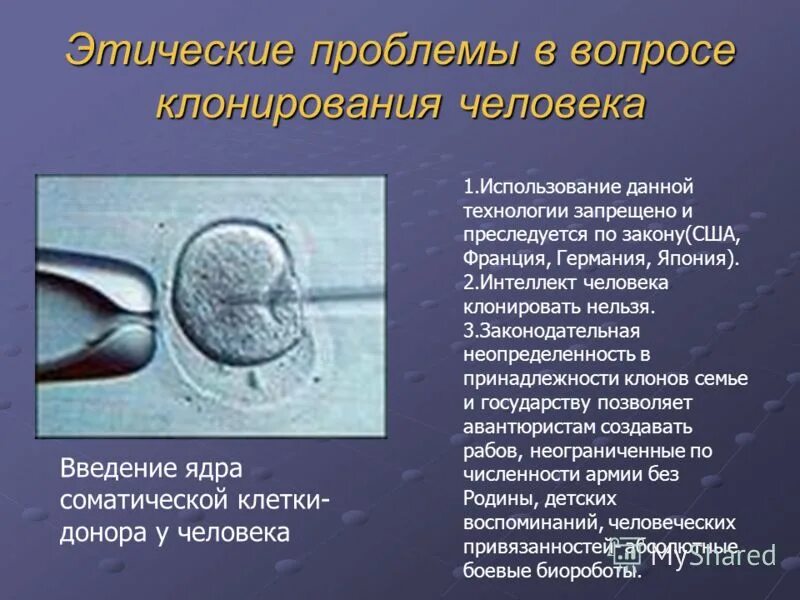 Научные и этические проблемы клонирования проект Научные и этические проблемы клонирования проект