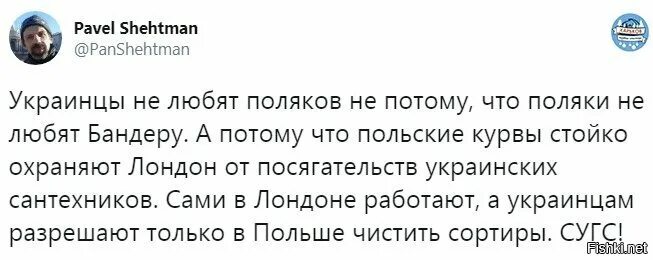 Почему поляки не любят. Поляки не любят украинцев. украинцы любят россию. поляки любят украинцев. украинцы любят русских.