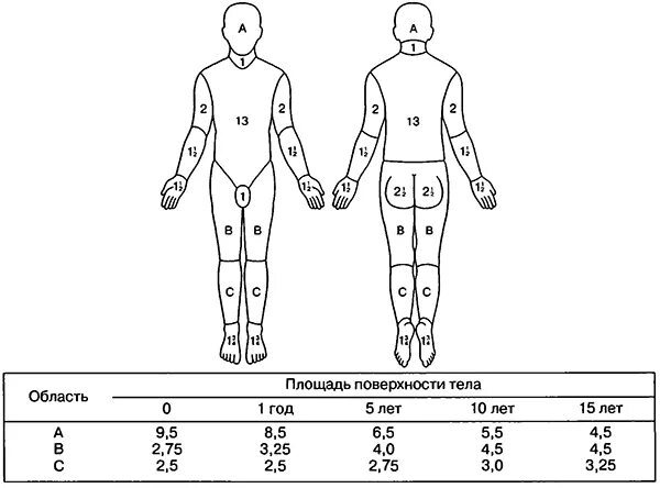 Таблица площади поверхности тела человека. Площади ожоговой поверхности тела. Поверхность тела таблица. Площадь ожога предплечья. Пл тела