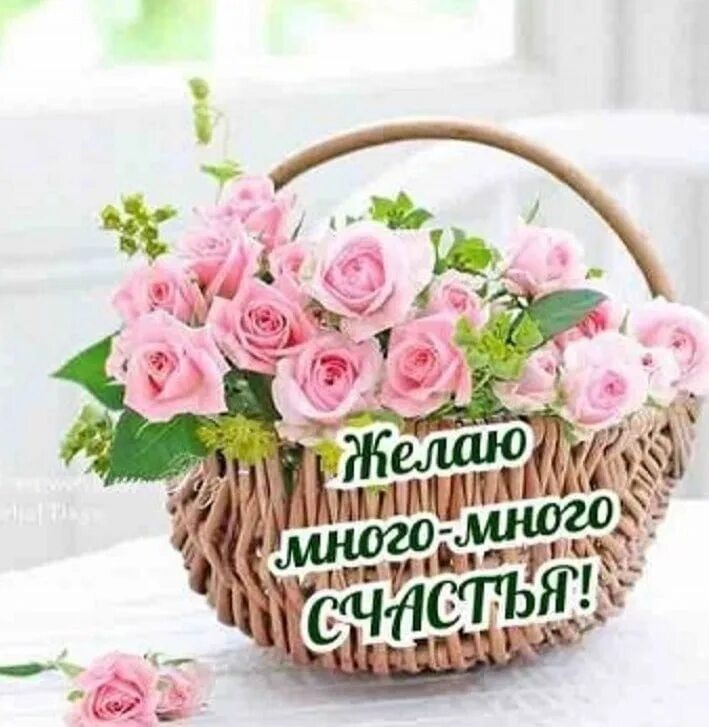 Пусть жизнь вас радует добром. Пусть жизнь радует. Пусть жизнь тебя радует. Пусть жизнь. Другу умеющему радовать картинка.