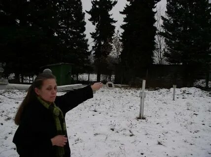 Погода пикалево ефимовская метеостанция на неделю