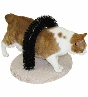 Def cat