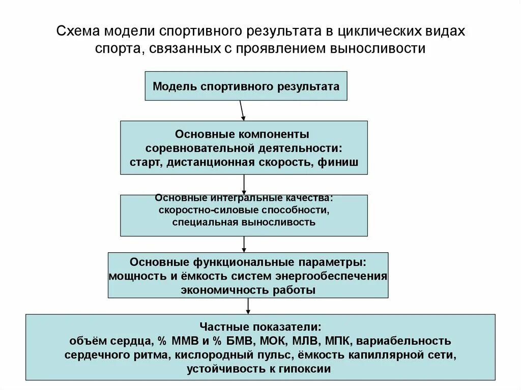 Модельные характеристики спортсменов. Модельные характеристики соревновательной деятельности. Моделирование спортивной деятельности. Моделирование соревновательной деятельности. Моделирование в спортивной подготовке..