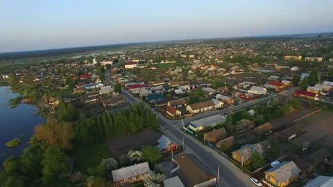 Мотоль