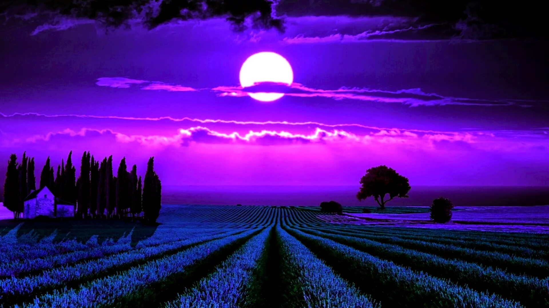 Лунная ночь. Фиолетовая природа. Природа ночью. Ночной пейзаж.
