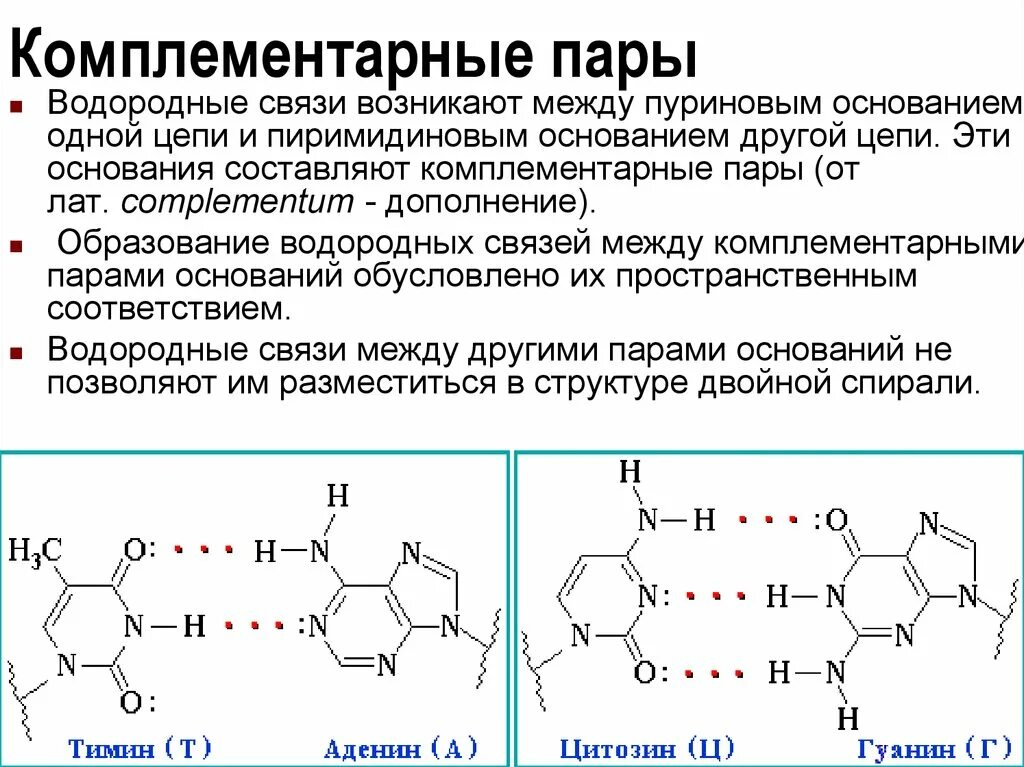 Водородный связи между аденином и тимином. Водородные связи между комплементарными основаниями. Комплементарные пары оснований. Комплементарные пары водородные связи. Водородные связи между пуриновыми и пиримидиновыми основаниями.