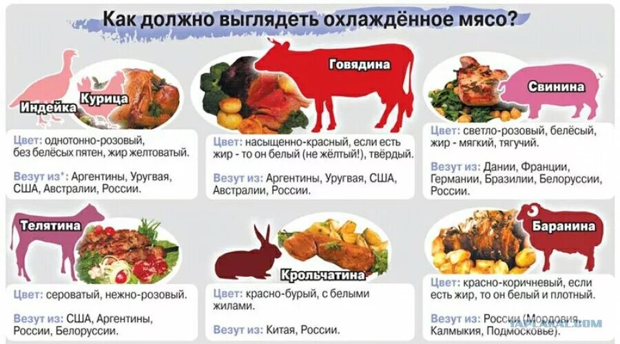 Можно ли человеку есть мясо