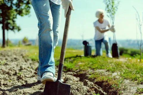 Digging away
