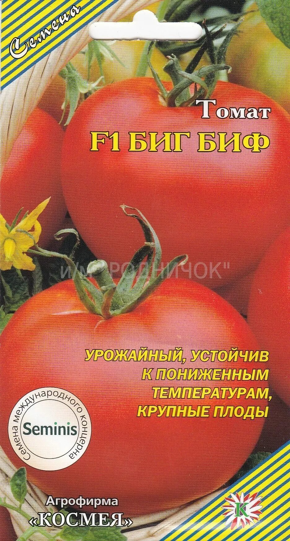 томаты биф описание отзывы