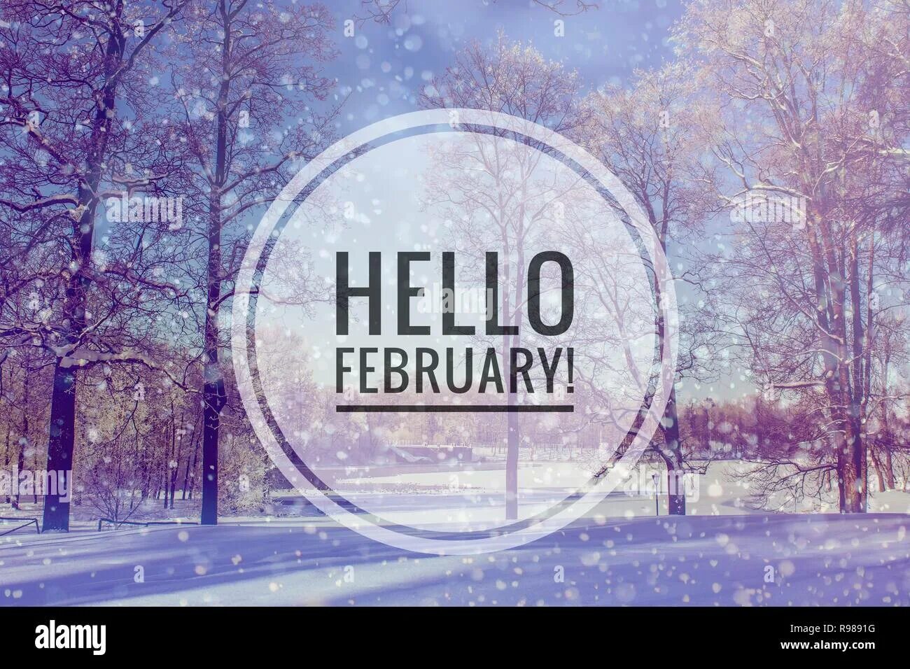 Hello февраль. Hello February картинка. Привет февраль надпись. Февраль hello February.