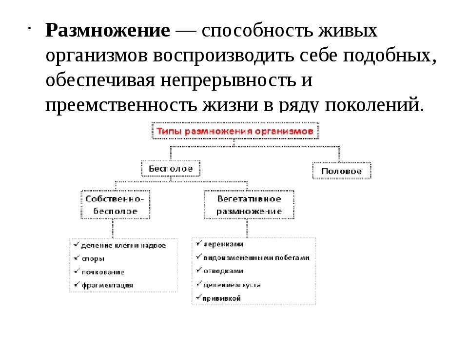 Размножение живых организмов примеры. Способы размножения организмов. Размножение живых организмов. Способы размножения живых организмов. Формы размножения живых организмов схема.