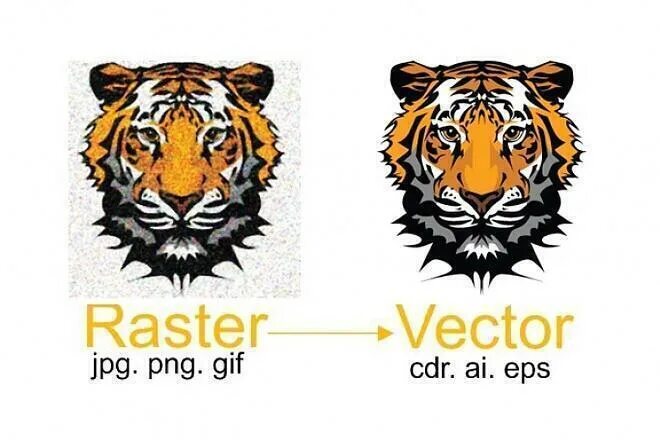 перевести растр в вектор. перевести растр в вектор. конвертация растрового изображения в векторное. конвертация из растровой графики в векторную. отрисовка растра в векторе.
