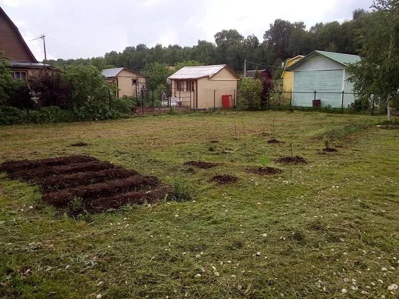 Участки снт дубок. Снт дубки 2. Дача дубки. О. Снт дубки -1 д.