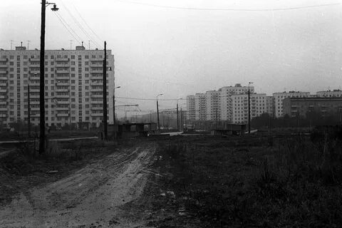Деревня петрово