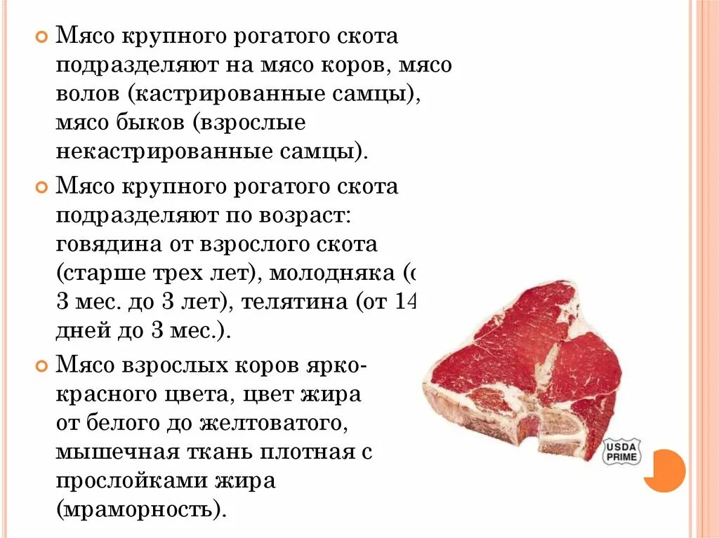 Почему мясо желтое. Мясо крупного рогатого скота. Мясо крупно рогатого скота. Говядина от взрослого скота. Почему мясо коровы называется говядина.