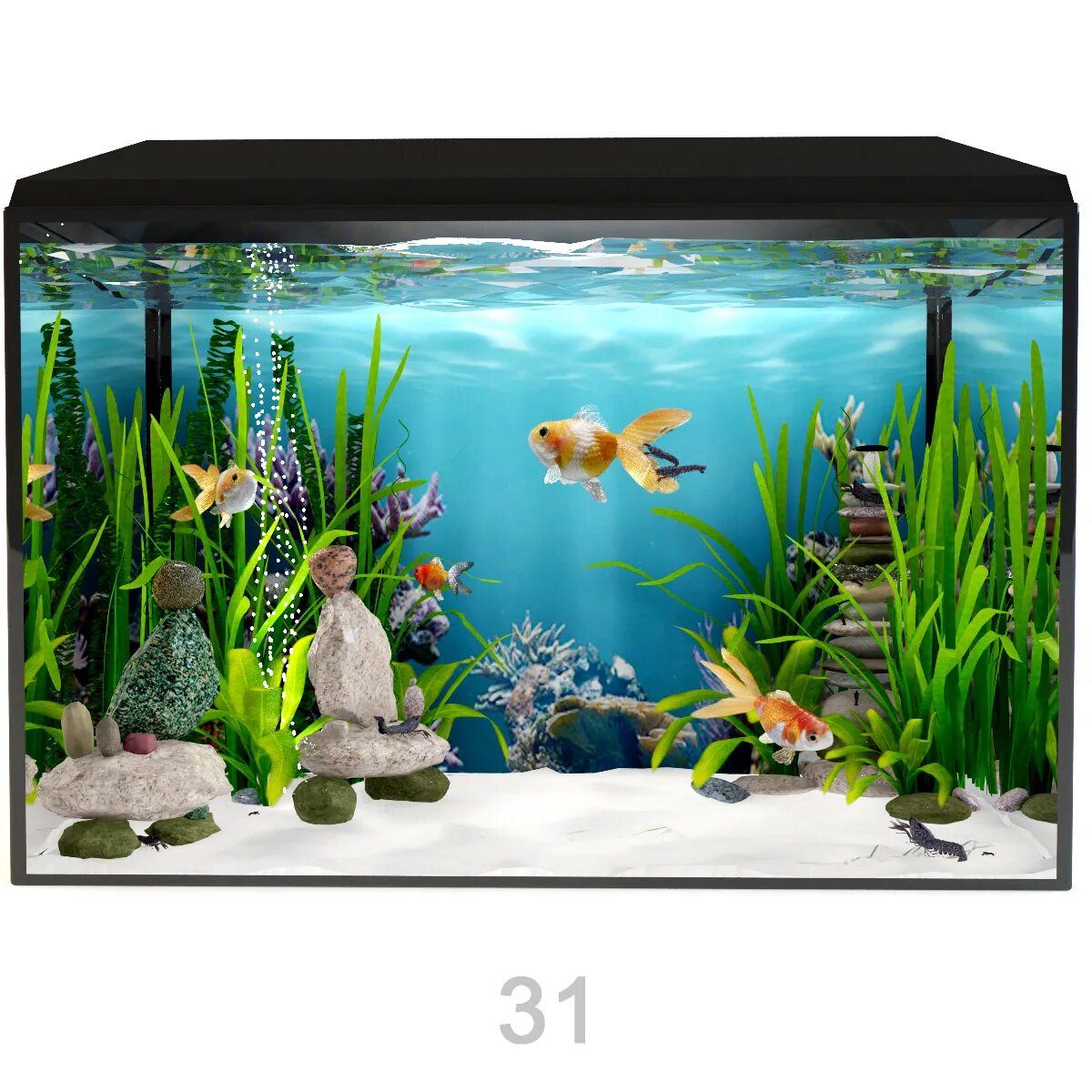 Аквариум. Модель аквариума. Аквариум 3d. Аквариум в 3d Max. Aquarium 3