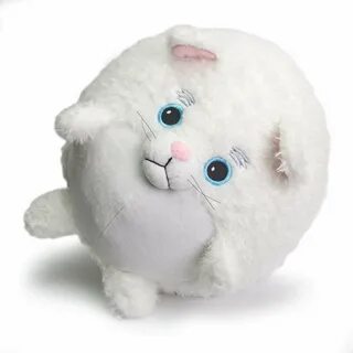 Круглый белый кот