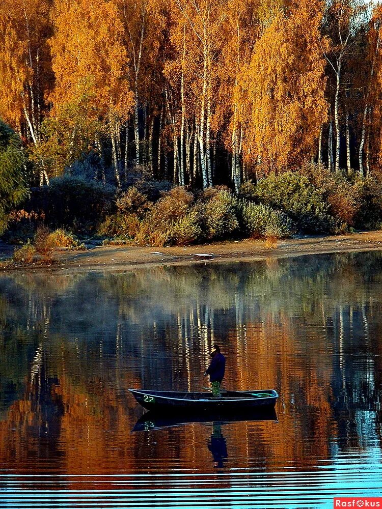 Осеннее озеро. Осень река лодка. Рыбалка осенью. Осенняя река. Березовая лодка