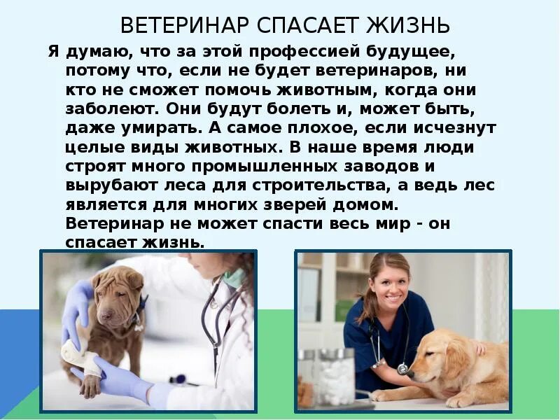Биография ветеринара. Доклад для ветеринаров на тему дерматит. Доклад для ветеринаров на тему экзема.